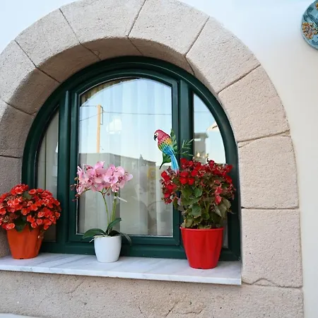 Apartment Anthias